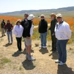 CSC_Poppy_Fields_100 (April 05, 2008)